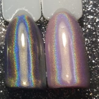 Magic Rainbow HoloGrafisch Pigment 1 gram