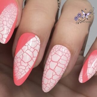 Workshop Nailart Gelpolish + CrackLack