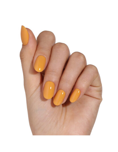 Bluesky Gel Polish Golden Rule Set  2 Kleuren Base Coat +Top Coat 10ml - Afbeelding 3